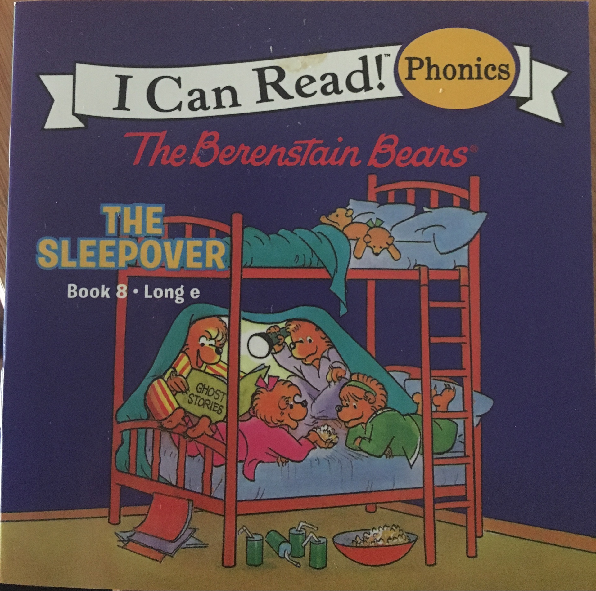 The Berenstain Bears-the sleepover