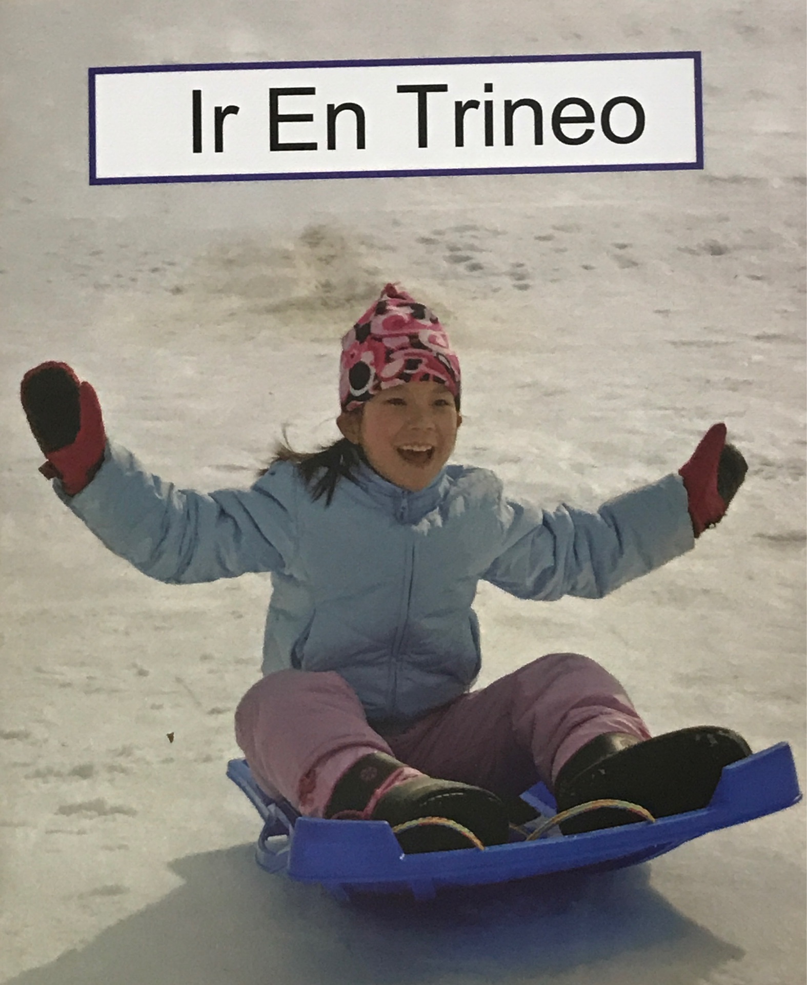 Ir en Trineo