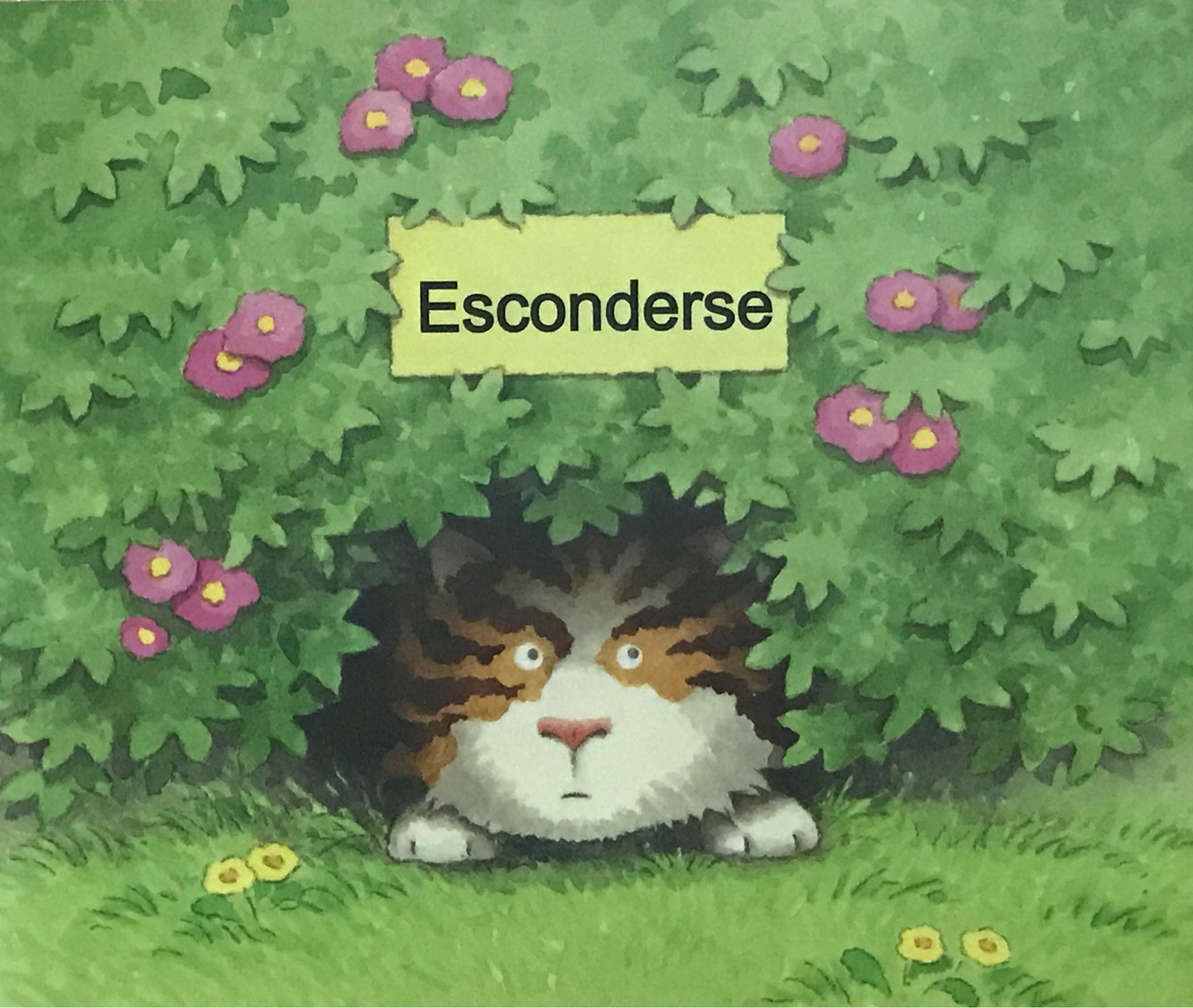 Esconderse