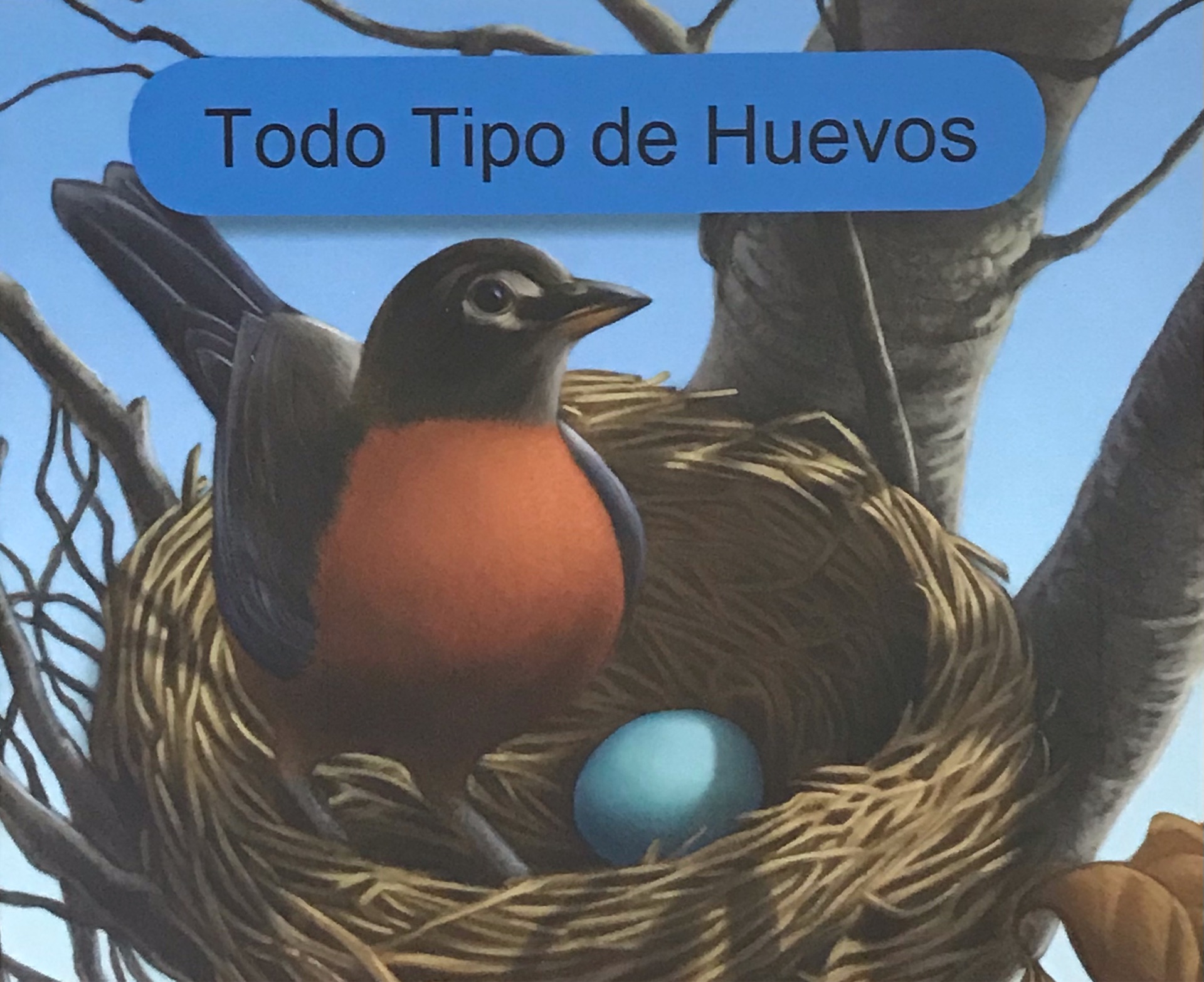 Todo Tipo de huevos