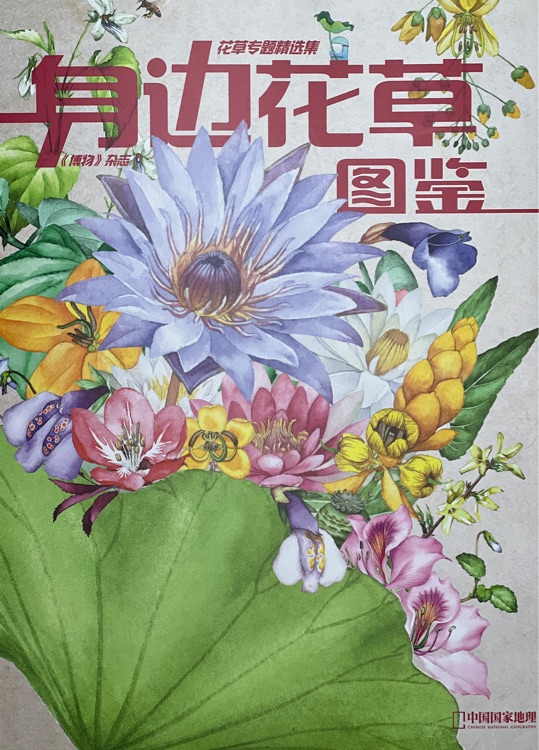 身邊花草圖鑒