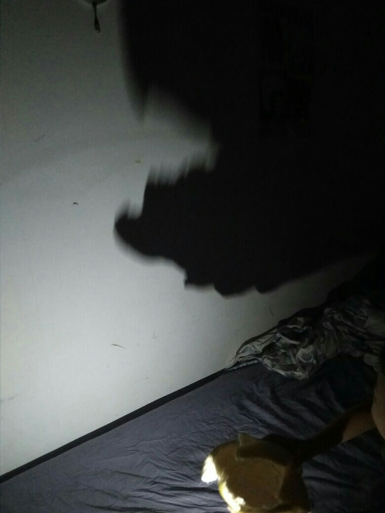 20191002