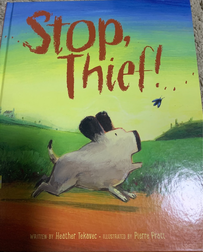 STOP THIEF