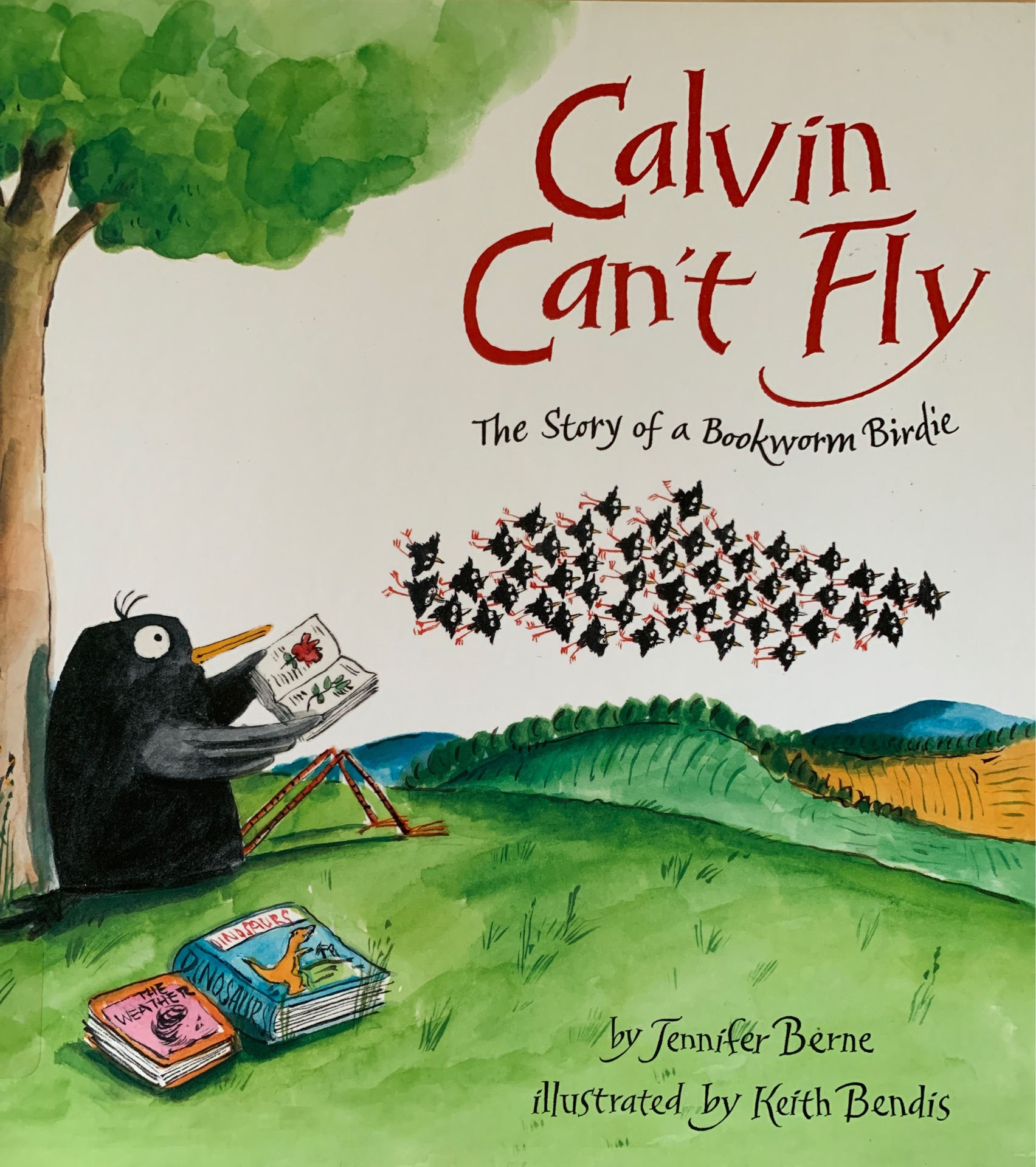 Calvin can't fly