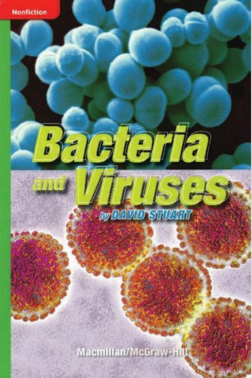 bacteria and viruses