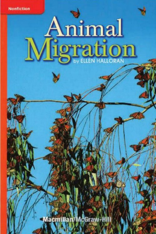 Animal migration