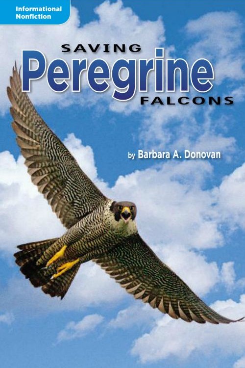 Saving peregrine falcons