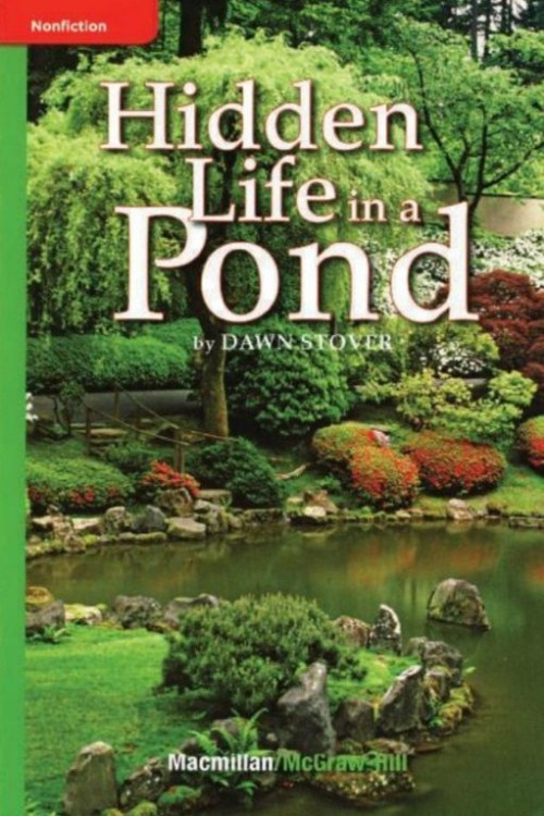 Hidden life in a pond