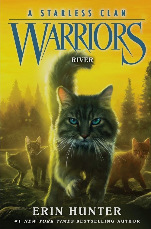 Warriors: A starless clan #1 River