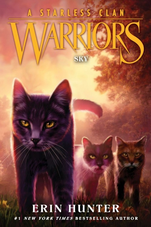 Warriors: A starless clan #2 Sky