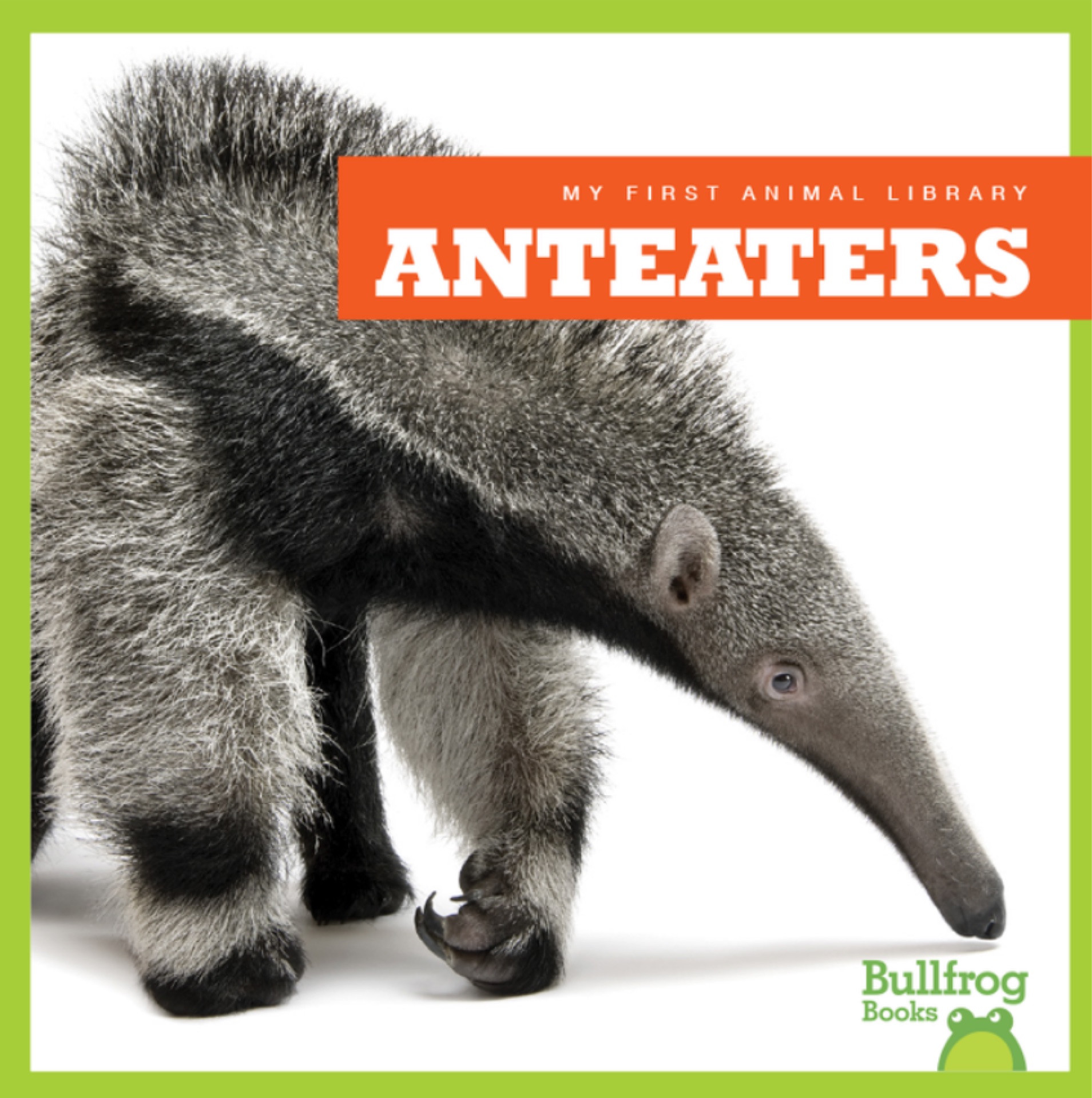 Anteaters