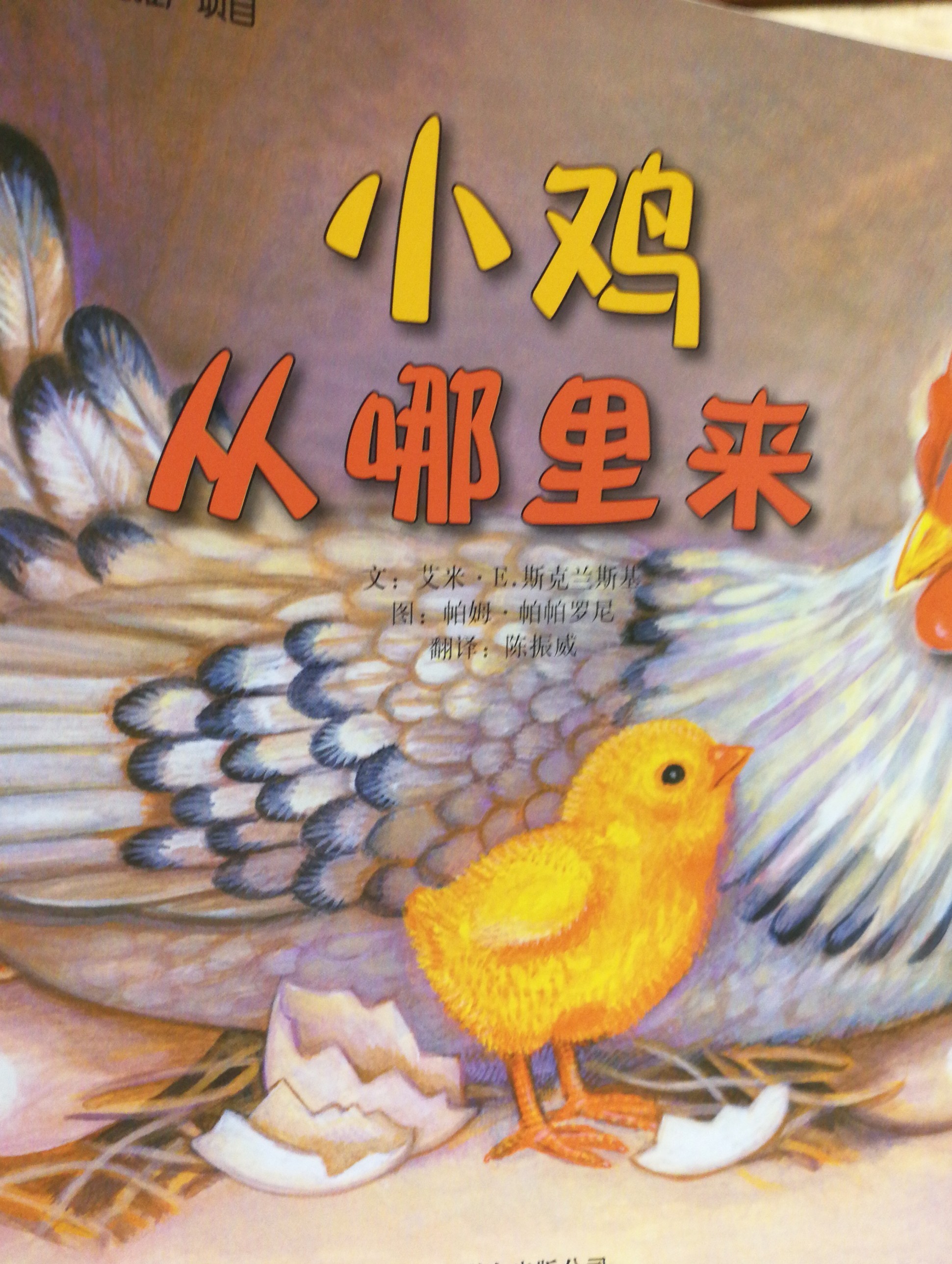 自然科學(xué)啟蒙 小雞從哪里來