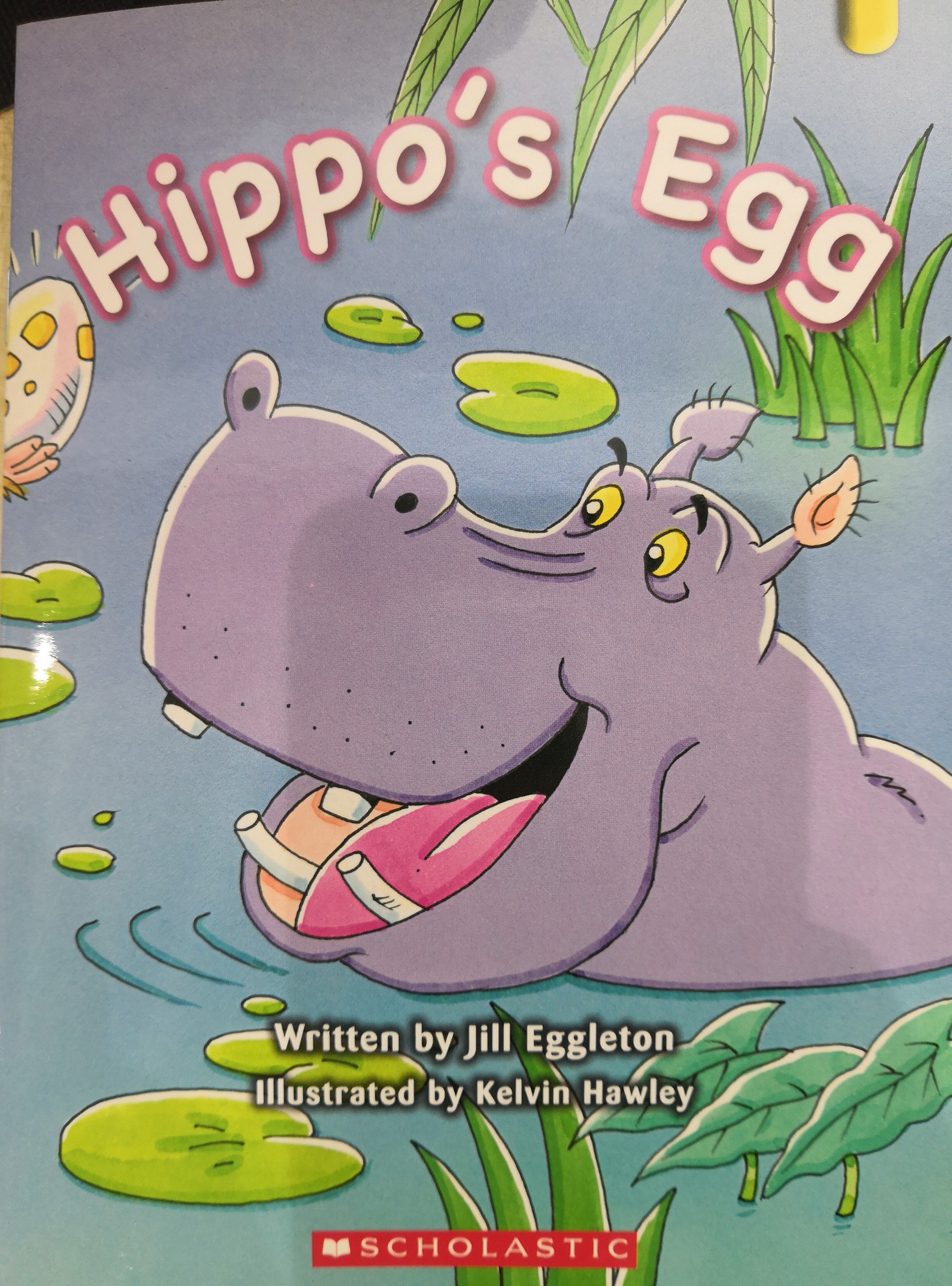 Hippo's Egg