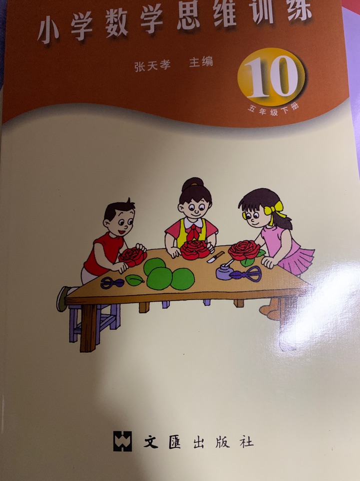 小學數(shù)學思維訓練10