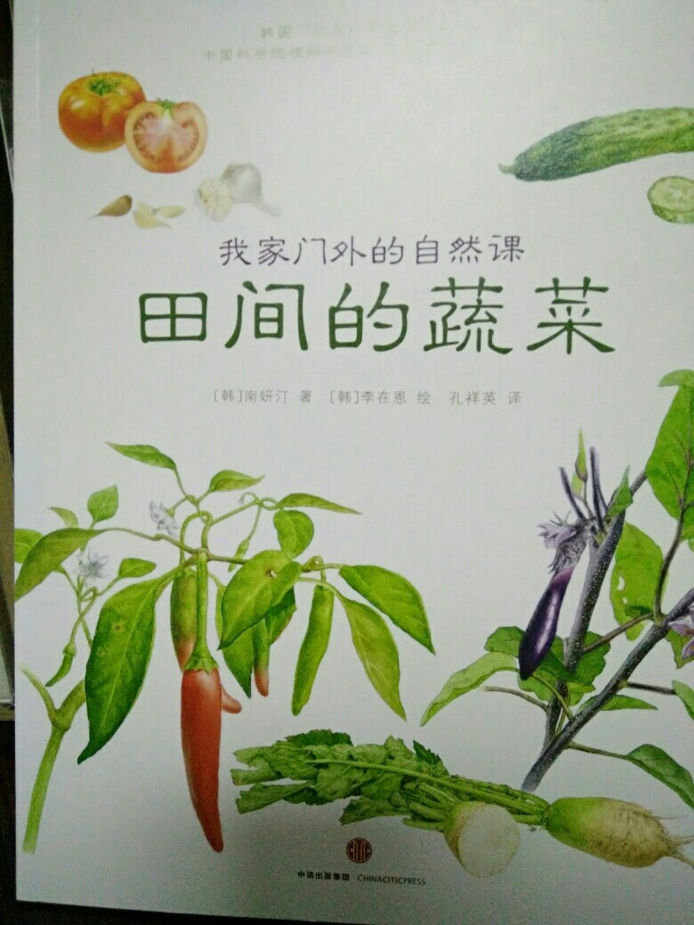 田間的蔬菜