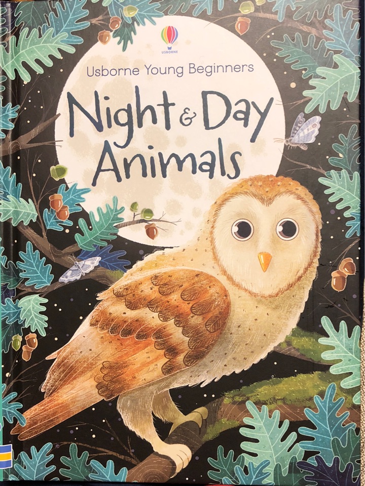 Night &Day  Animals