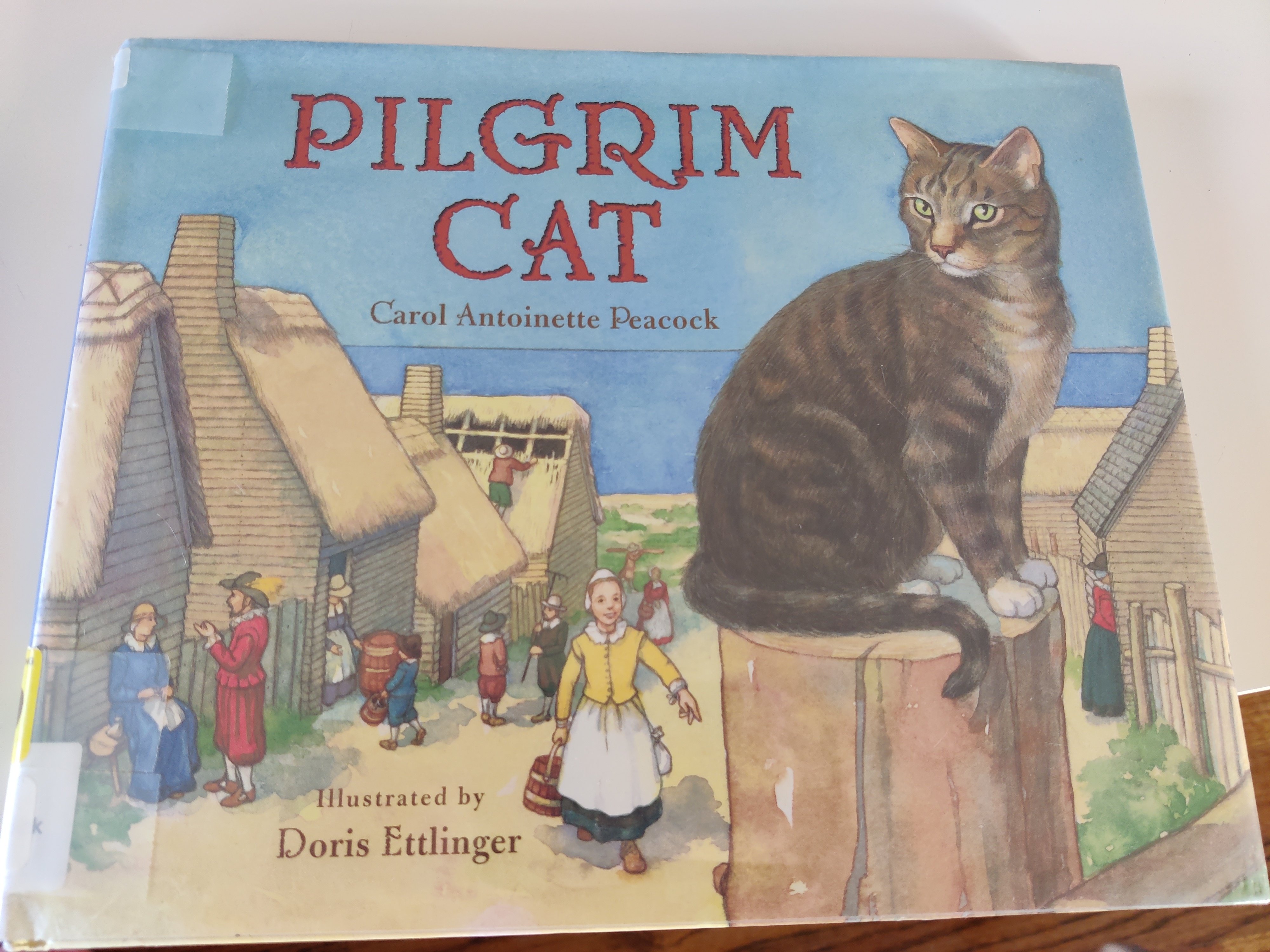 Pilgrim Cat