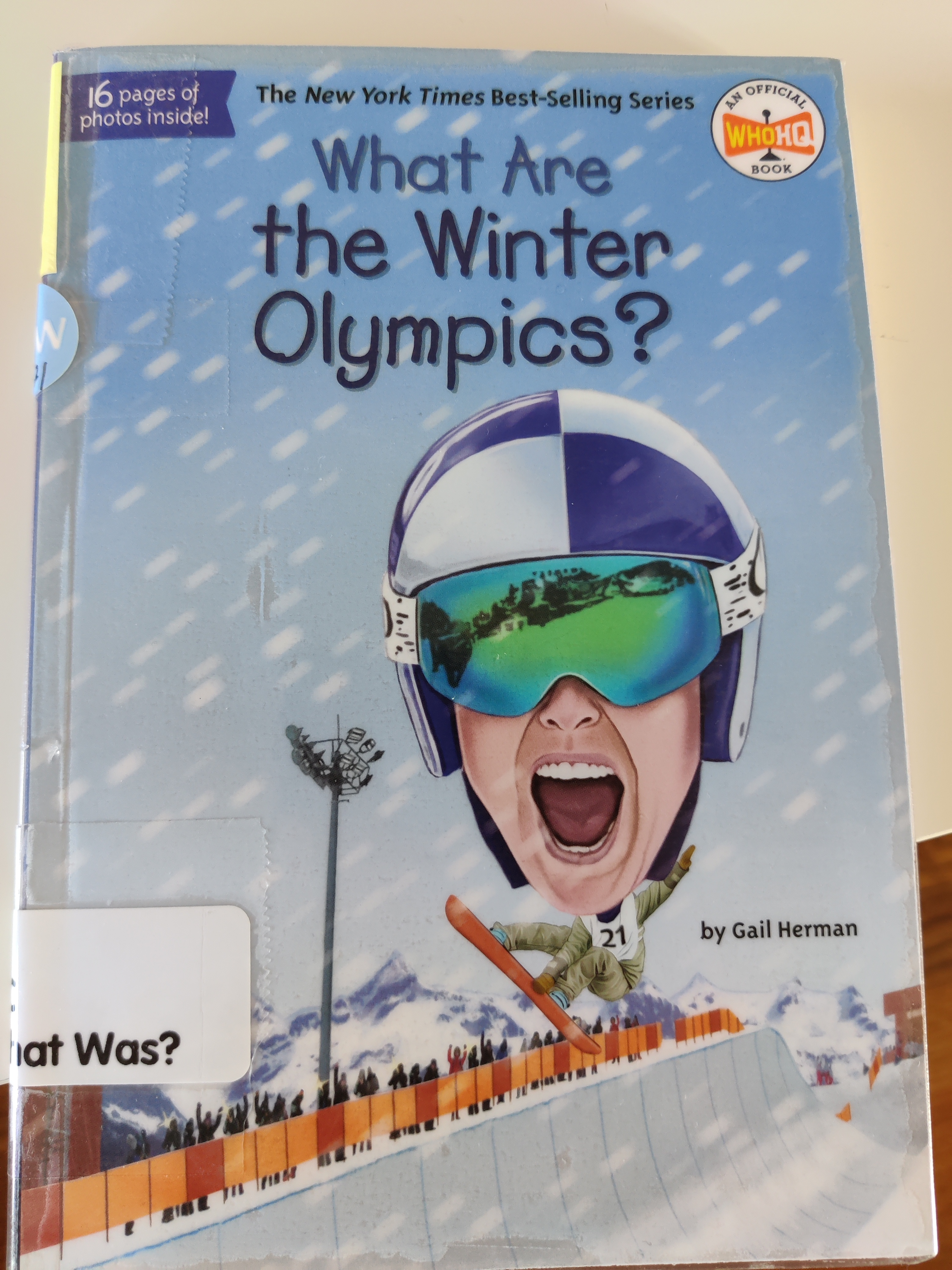 What are the Winter Olympics?