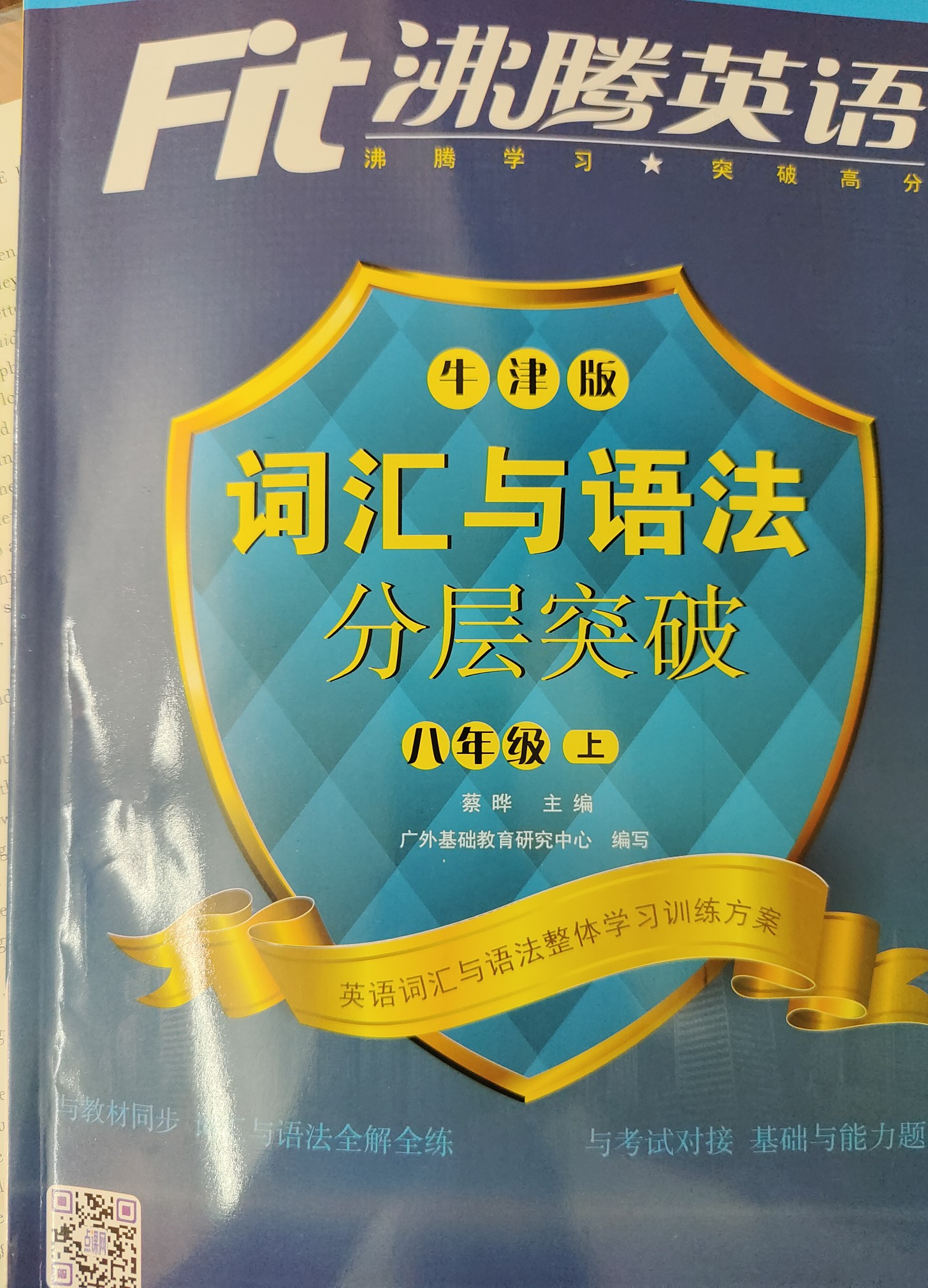 沸騰英語(yǔ)詞匯與語(yǔ)法分層突破八上