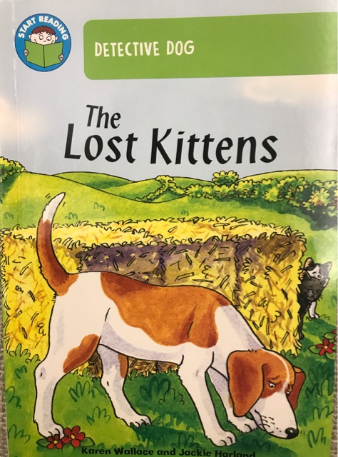 The lost kitten