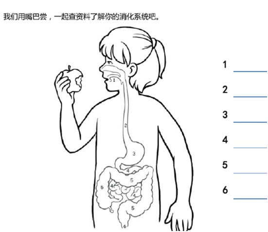 小鱷魚深度閱讀-