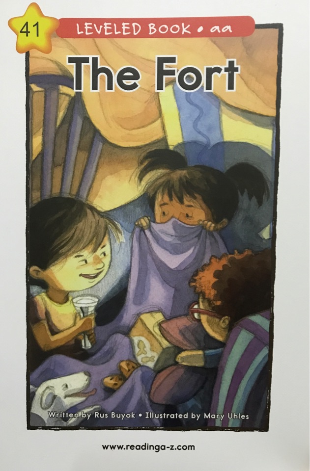 The Fort 41