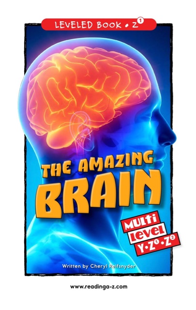 The Amazing Brain (RAZ Z1)