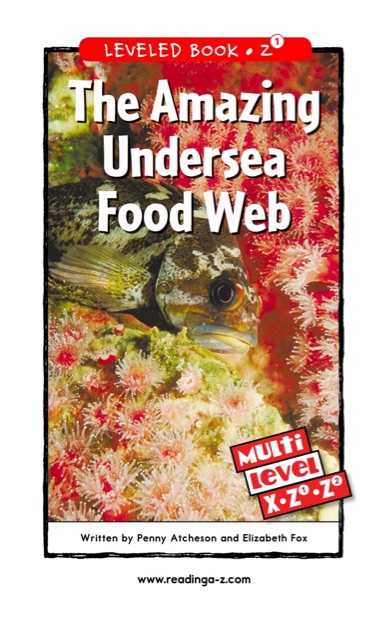 The Amazing Undersea Food Web (RAZ Z1)