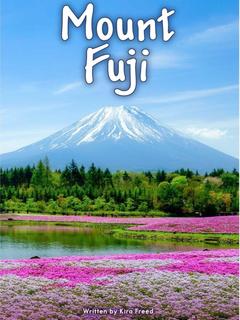 Mount Fuji(RAZ W)