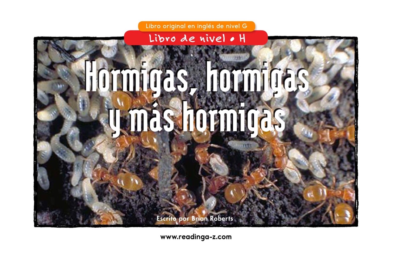 Hormigas, hormigas y más hormigas