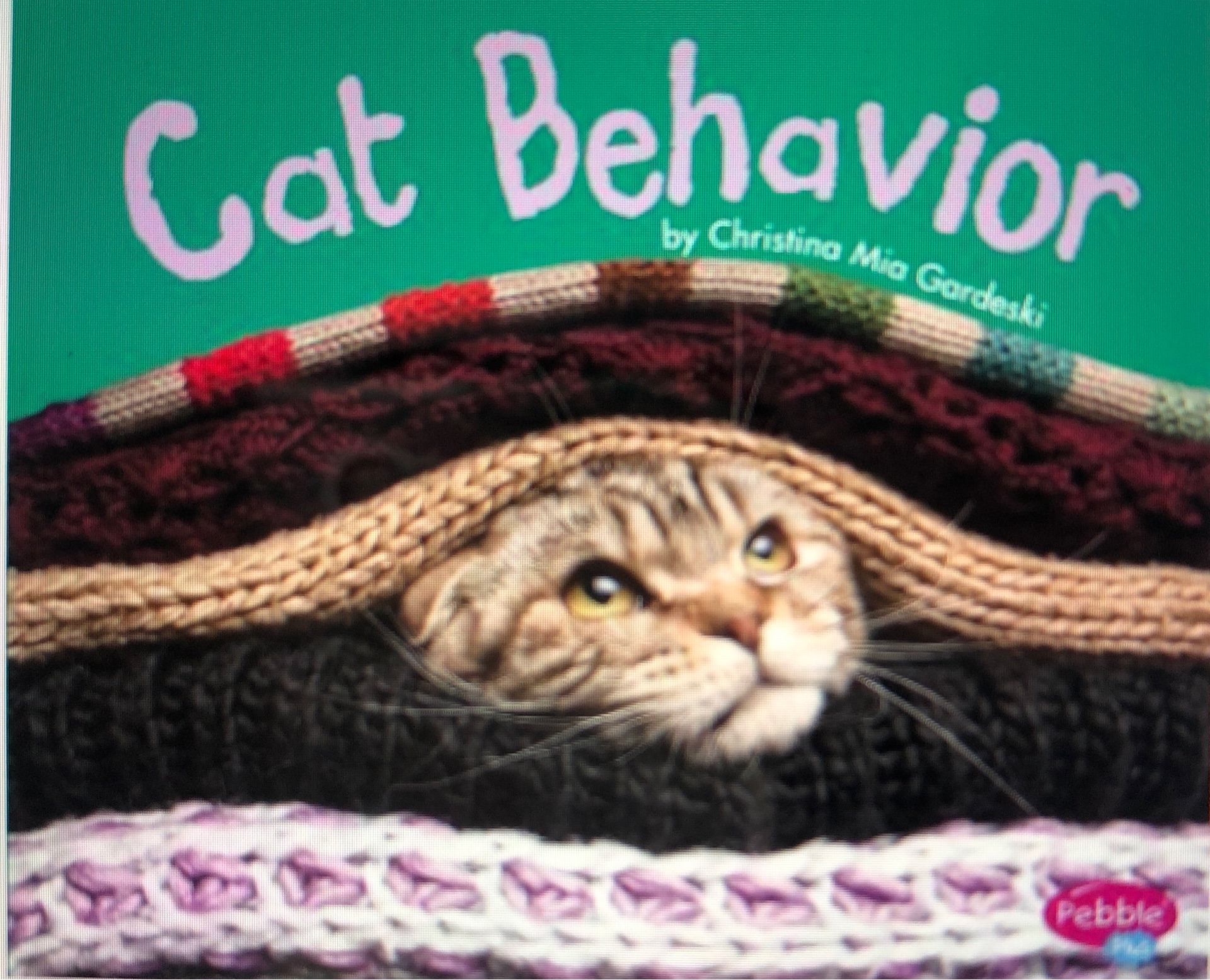 Cat behavior