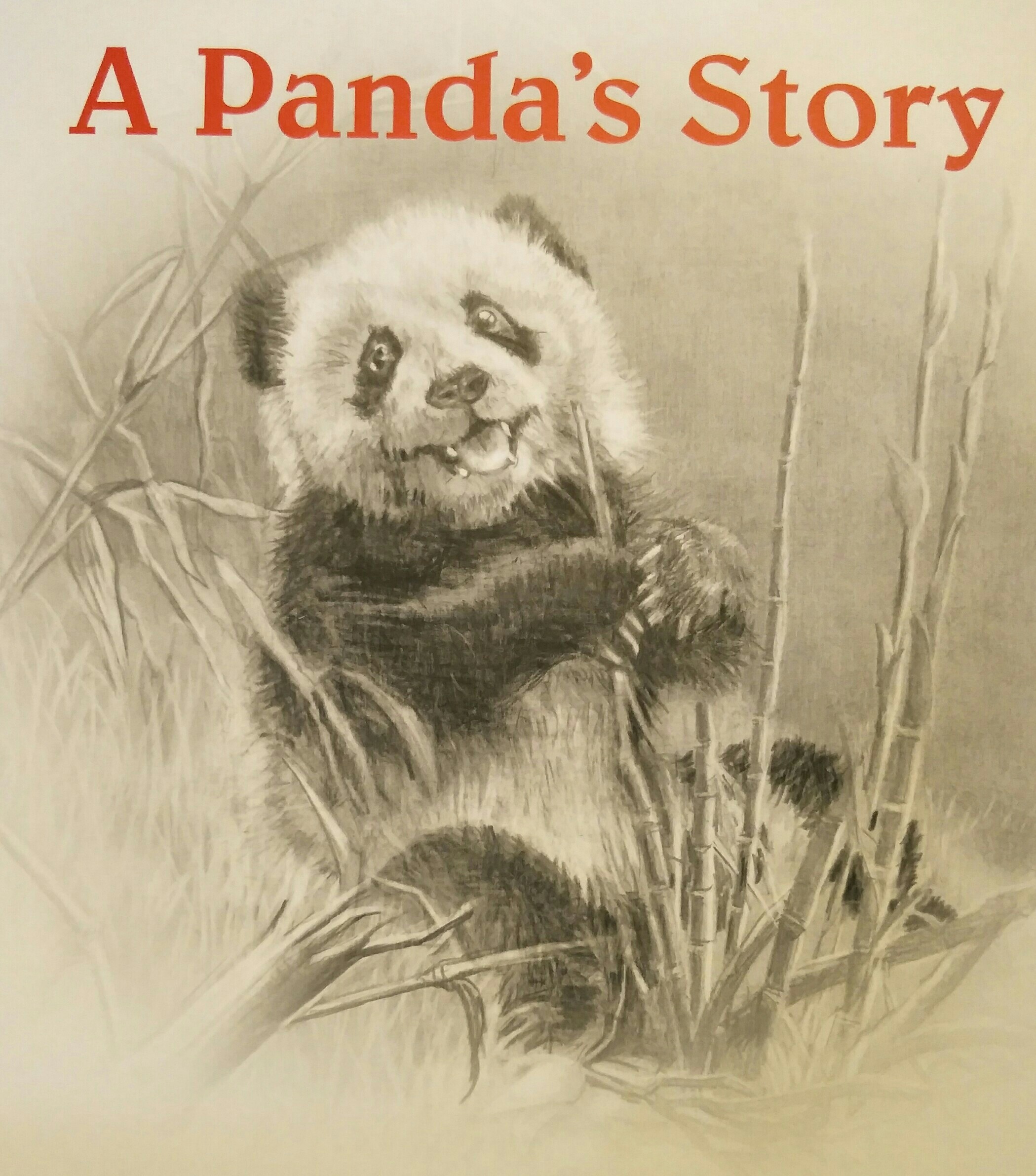 a panda's story