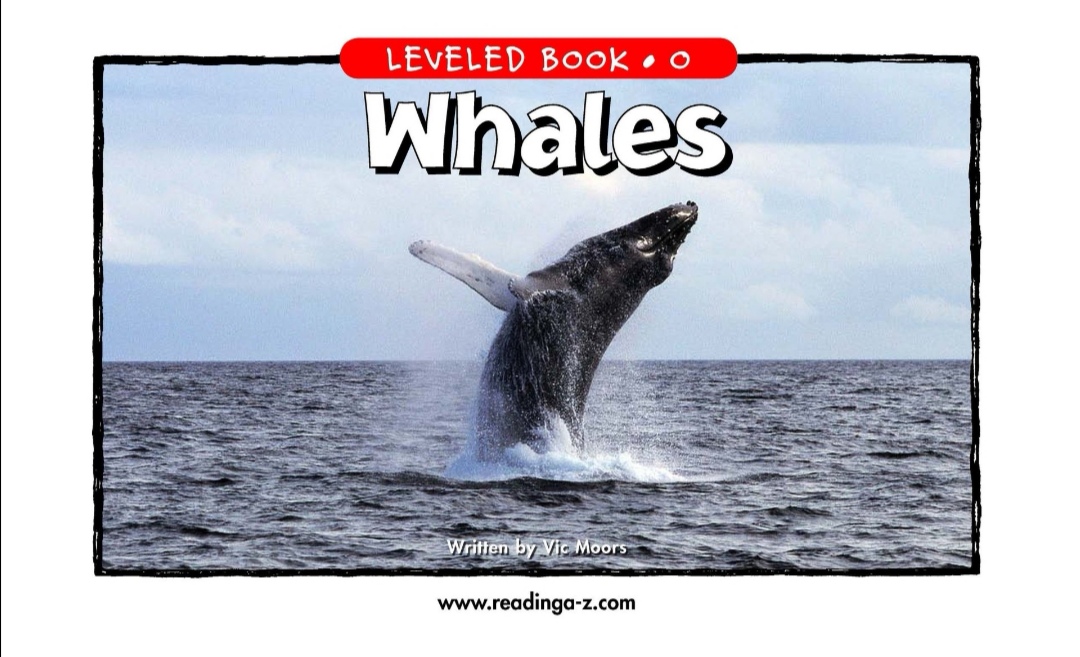 whales