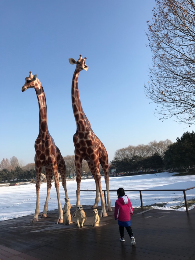 再游北京野生動物