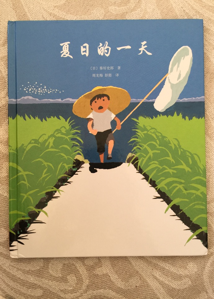 夏日的一天