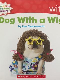 Dog With a Wig