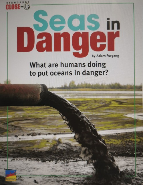 Seas in Danger
