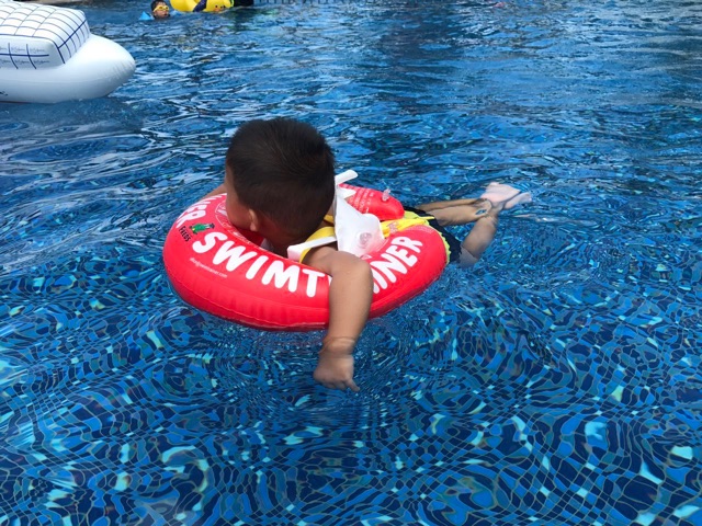 幼儿园的孩子旅游