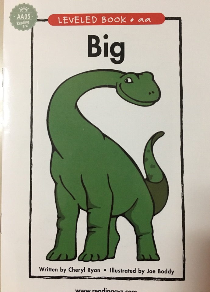 AA05 big