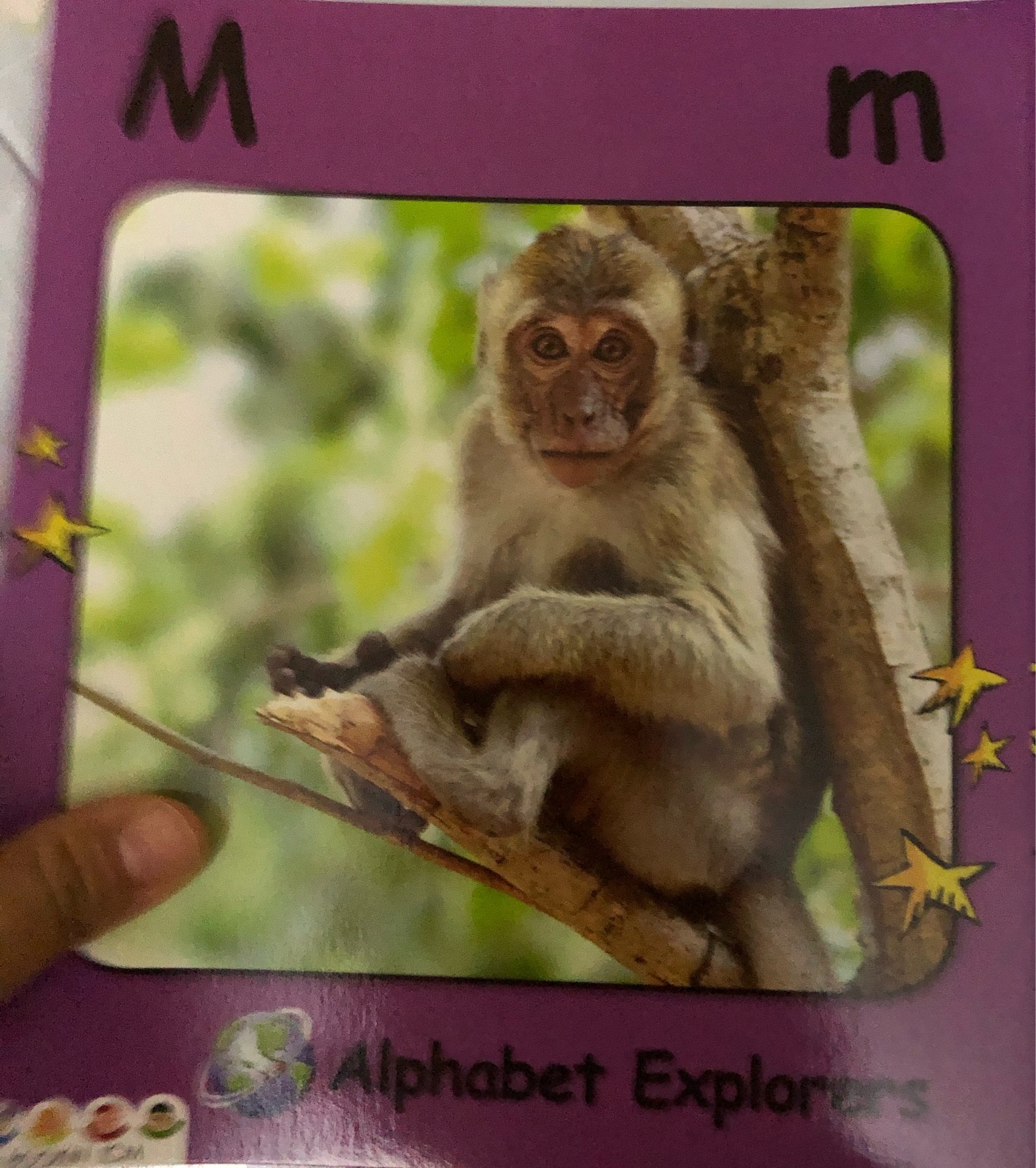 Alphabet Explorers M