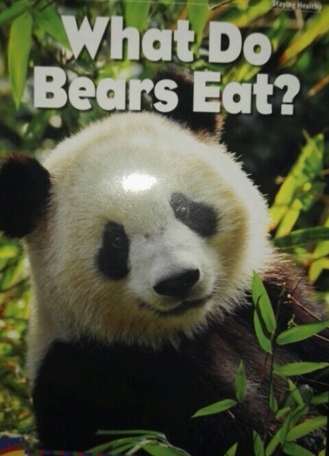 What Do Bears Eat?