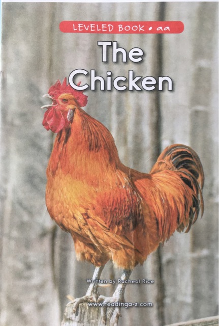 The Chicken