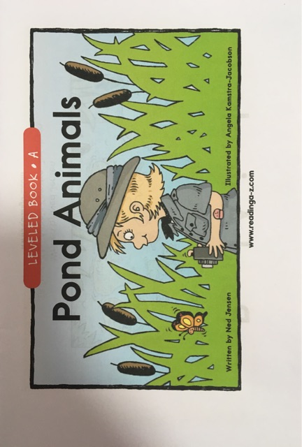 Pond Animals