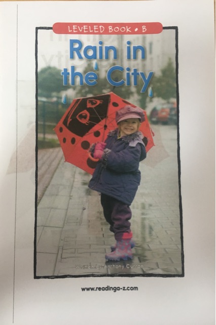 Rain in the City