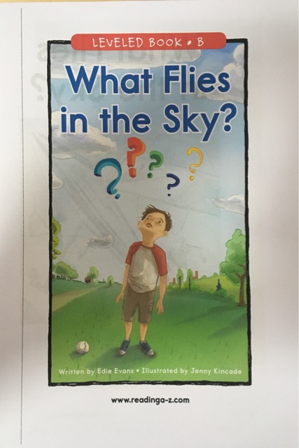 What Flies in the Sky?