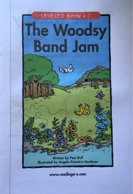 The Woodsy Band Jam