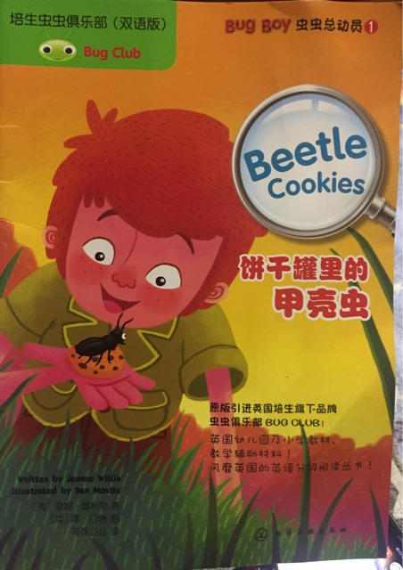 beetle cookies