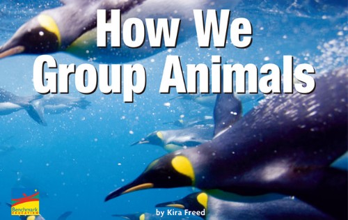 Haw We Group Animals