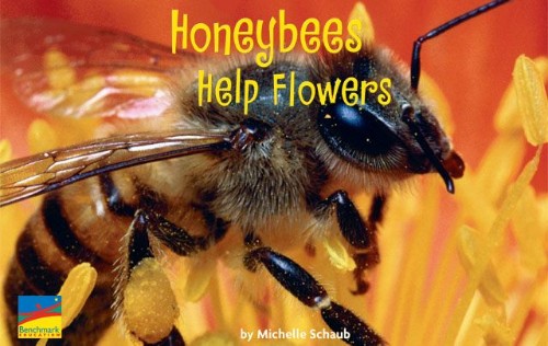 Honey bee help flowers