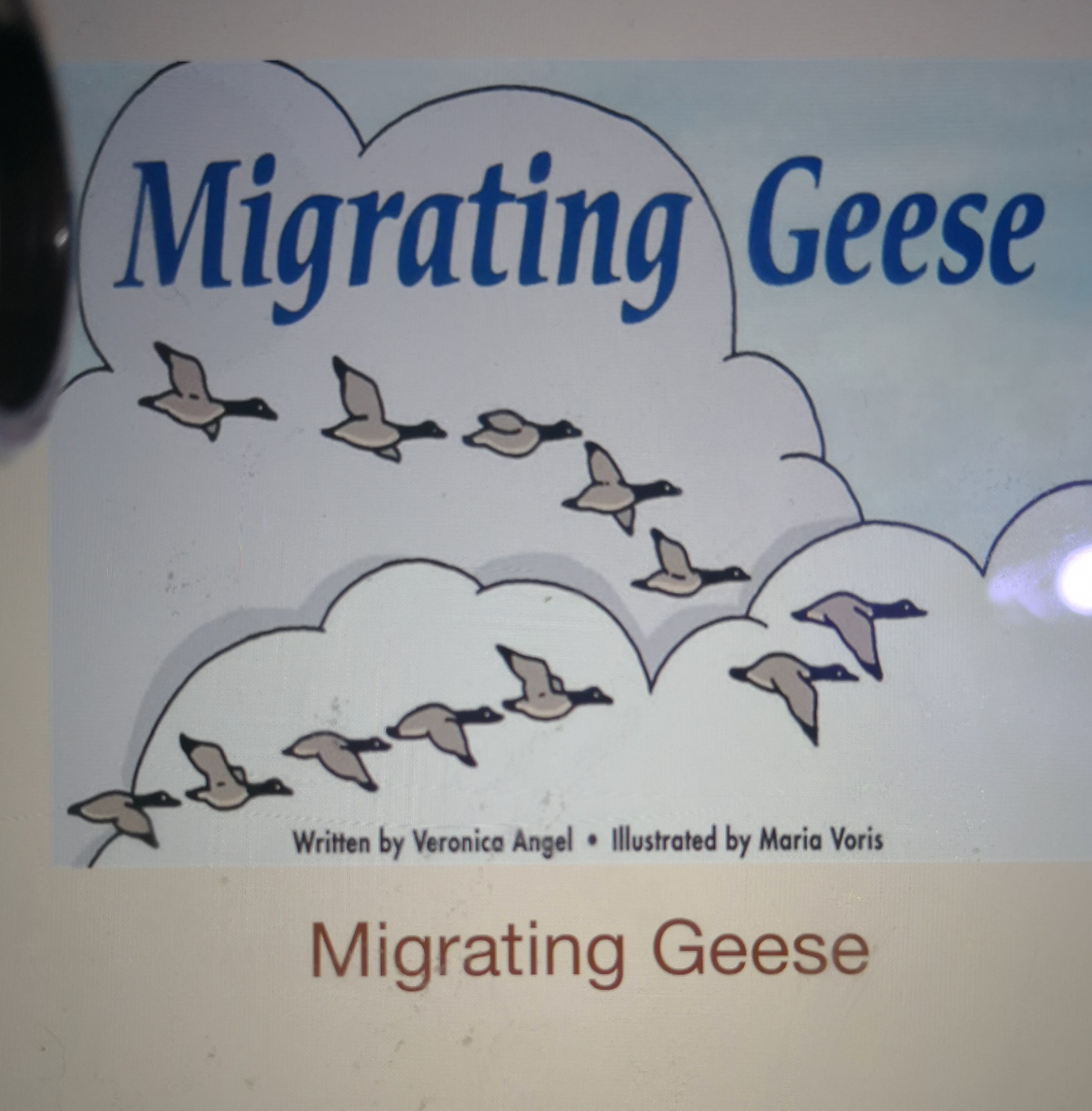 migrating geese